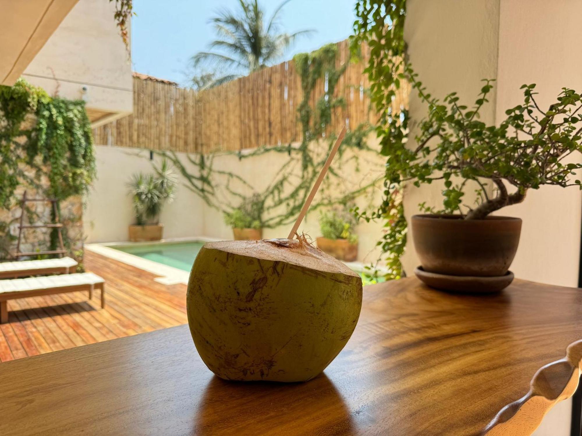 Casa Ita Surf - Adults Only Hotel ปูแอร์โตเอสกอนดิโด ภายนอก รูปภาพ